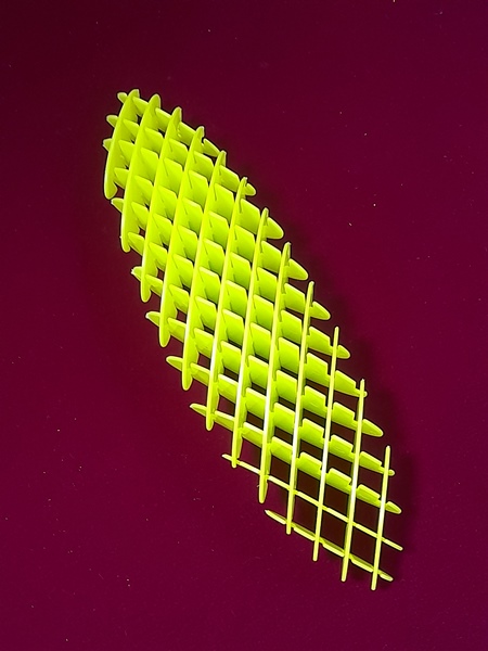 ���������� ����� Fidget Worm - ��� 2024 ����!